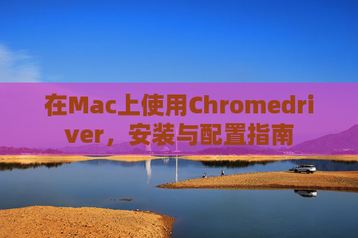 在Mac上使用Chromedriver,安装与配置指南 在Mac上使用Chromedriver,安装与配置指南